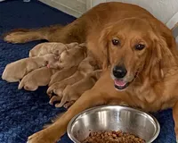 processed/ffc2fbb2-0882-42c5-bba1-a360d1dbfc03/listing/bc5fe354-243b-4a7d-b68d-39f513348d82/d1bbb21b-43a6-48ee-89b5-bf1121e4876b