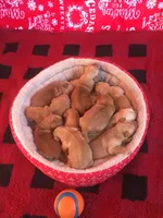 Pure-bred Golden Retriever AKC 2, a female Golden Retriever for sale in Sanford, NC – Photo 8 of 8