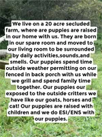 processed/ffc316e3-f6a6-4bc5-8d92-919cfa338c90/facility/0c4dea1a-45bb-40a0-8532-50a2eef93703