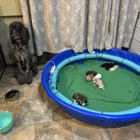 processed/ffc316e3-f6a6-4bc5-8d92-919cfa338c90/facility/14edbdf0-7040-4fe3-a773-c8089f0a146f