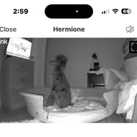 processed/ffc316e3-f6a6-4bc5-8d92-919cfa338c90/facility/15b9116d-2afb-43d6-80d6-02f575a34f7a