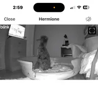 processed/ffc316e3-f6a6-4bc5-8d92-919cfa338c90/facility/15b9116d-2afb-43d6-80d6-02f575a34f7a