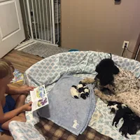 processed/ffc316e3-f6a6-4bc5-8d92-919cfa338c90/facility/1e57b32f-9186-4069-86d2-1882a18fbaf3