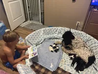 processed/ffc316e3-f6a6-4bc5-8d92-919cfa338c90/facility/1e57b32f-9186-4069-86d2-1882a18fbaf3