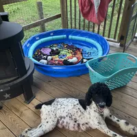 processed/ffc316e3-f6a6-4bc5-8d92-919cfa338c90/facility/2545dbc9-9e01-4642-83ff-236e12189b35