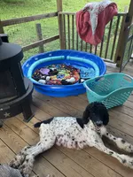 processed/ffc316e3-f6a6-4bc5-8d92-919cfa338c90/facility/2545dbc9-9e01-4642-83ff-236e12189b35