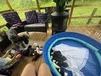 processed/ffc316e3-f6a6-4bc5-8d92-919cfa338c90/facility/3f826d88-62ee-493a-9d53-52c74f702a28