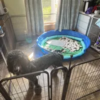 processed/ffc316e3-f6a6-4bc5-8d92-919cfa338c90/facility/45719f44-f55c-49bc-bf57-c16284fc44b1