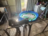 processed/ffc316e3-f6a6-4bc5-8d92-919cfa338c90/facility/45719f44-f55c-49bc-bf57-c16284fc44b1