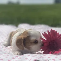 processed/ffc49cff-b0dc-4352-8769-1a1bbeaa4bdb/facility/2fe76fc4-9ed9-4003-b3bd-de5b9bc82115