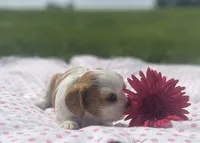 processed/ffc49cff-b0dc-4352-8769-1a1bbeaa4bdb/facility/2fe76fc4-9ed9-4003-b3bd-de5b9bc82115