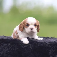 processed/ffc49cff-b0dc-4352-8769-1a1bbeaa4bdb/facility/35adc7eb-716f-42fb-9bce-f328574ad4a4