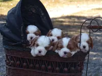 processed/ffc49cff-b0dc-4352-8769-1a1bbeaa4bdb/facility/7f4267db-5341-4440-9b04-054d5238fc0d