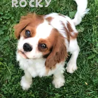 processed/ffc49cff-b0dc-4352-8769-1a1bbeaa4bdb/facility/9021ce3d-c0d8-4a62-9340-0f7408db9403