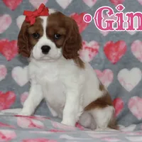 processed/ffc49cff-b0dc-4352-8769-1a1bbeaa4bdb/facility/966559b6-b812-4851-8d6a-9c83aa87d229