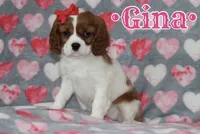 processed/ffc49cff-b0dc-4352-8769-1a1bbeaa4bdb/facility/966559b6-b812-4851-8d6a-9c83aa87d229