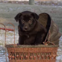 processed/ffc49cff-b0dc-4352-8769-1a1bbeaa4bdb/facility/bef3270c-fdbc-44cc-89e9-28eae4c690d7