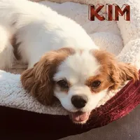 processed/ffc49cff-b0dc-4352-8769-1a1bbeaa4bdb/facility/cf13a683-cdab-42c6-9806-8eb71e152c45