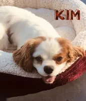 processed/ffc49cff-b0dc-4352-8769-1a1bbeaa4bdb/facility/cf13a683-cdab-42c6-9806-8eb71e152c45