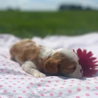 processed/ffc49cff-b0dc-4352-8769-1a1bbeaa4bdb/facility/ff6a5f7f-0a6a-4066-958f-bedad51fdb4f