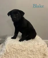 processed/ffc49cff-b0dc-4352-8769-1a1bbeaa4bdb/listing/b3d7507a-bec9-4886-a703-07c3283c170e/58e5049c-e88c-4ce7-90e8-9bf89e73ed51