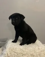 processed/ffc49cff-b0dc-4352-8769-1a1bbeaa4bdb/listing/b3d7507a-bec9-4886-a703-07c3283c170e/737b9c63-1ccc-4cbe-a6dc-4c083af4d4a2