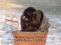 processed/ffc49cff-b0dc-4352-8769-1a1bbeaa4bdb/listing/d904a6c5-6c0a-4e74-aead-8b54f724121b/4a5e24d3-ffe5-4116-8b66-3ff51ac69836