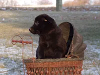 processed/ffc49cff-b0dc-4352-8769-1a1bbeaa4bdb/listing/d904a6c5-6c0a-4e74-aead-8b54f724121b/d04bd051-e3f6-4b32-960f-ba88b5bb0edd