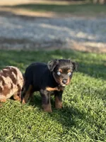 processed/ffc7d918-7c16-4431-909c-6b9b87b0b573/listing/56a1953a-8aec-4e1e-9cdf-d257398fd63e/625f847a-6737-40f1-965b-f2aeba17db6d