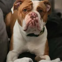 processed/ffcb313f-f658-41ed-b12b-b87894dd1f25/facility/00de9a90-f8a4-4095-b710-f40245466fd0