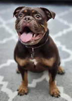 processed/ffcb313f-f658-41ed-b12b-b87894dd1f25/facility/0ad5969d-c9ff-431e-9b68-1bd9000336c7