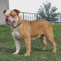 processed/ffcb313f-f658-41ed-b12b-b87894dd1f25/facility/139c93f3-df6b-4e65-8749-052b2c884168