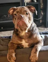 processed/ffcb313f-f658-41ed-b12b-b87894dd1f25/facility/31af94d9-3448-4279-a345-ea1a27078d48