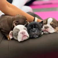 processed/ffcb313f-f658-41ed-b12b-b87894dd1f25/facility/4aed8685-c7c5-49dd-bbf1-aa35441b0209