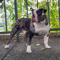 processed/ffcb313f-f658-41ed-b12b-b87894dd1f25/facility/a5a6f479-c5f2-4bf3-a3c3-7c818e785d22