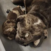 processed/ffcb313f-f658-41ed-b12b-b87894dd1f25/facility/bcca815c-c90e-4af1-9d6e-25d3f9c89236