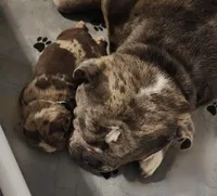 processed/ffcb313f-f658-41ed-b12b-b87894dd1f25/facility/bcca815c-c90e-4af1-9d6e-25d3f9c89236