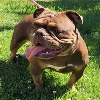 processed/ffcb313f-f658-41ed-b12b-b87894dd1f25/facility/c797208e-c861-4b04-a85d-33225496a41a