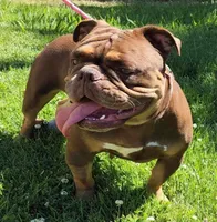 processed/ffcb313f-f658-41ed-b12b-b87894dd1f25/facility/c797208e-c861-4b04-a85d-33225496a41a