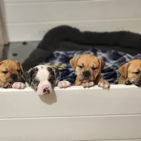 processed/ffcb313f-f658-41ed-b12b-b87894dd1f25/facility/db1b89c0-51c8-4633-9295-84c269efaa52