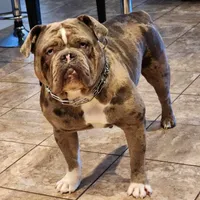 processed/ffcb313f-f658-41ed-b12b-b87894dd1f25/facility/f9d56605-344b-436c-bac2-a212c6516b1f