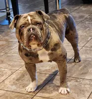 processed/ffcb313f-f658-41ed-b12b-b87894dd1f25/facility/f9d56605-344b-436c-bac2-a212c6516b1f