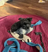 processed/ffcb544b-9836-44f1-aa20-682b4cb6fb7f/listing/8fc4ad73-a261-41ee-86b9-ce19d5a14989/1bca2e97-6e6c-42f6-8169-c72dc1f9e0e0