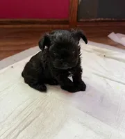 processed/ffcb544b-9836-44f1-aa20-682b4cb6fb7f/listing/8fc4ad73-a261-41ee-86b9-ce19d5a14989/4eefc520-9d8d-4f3c-916c-1eb648a0509b