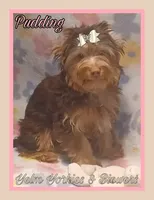 Pudding, a female Yorkshire Terrier for sale in Yelm, WA – Photo 2 of 7