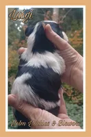 processed/ffd0e59d-5166-4e09-9246-76c9d723c744/listing/5f66195d-27ef-4b7a-9f73-beefa32afb06/34376dbe-223d-4a42-8855-daf370d31e41