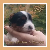 processed/ffd0e59d-5166-4e09-9246-76c9d723c744/listing/5f66195d-27ef-4b7a-9f73-beefa32afb06/7f3faa01-5620-45a2-bb37-20029b762448