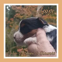 processed/ffd0e59d-5166-4e09-9246-76c9d723c744/listing/5f66195d-27ef-4b7a-9f73-beefa32afb06/daf53448-cba9-4b76-a01a-291906850413