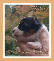 processed/ffd0e59d-5166-4e09-9246-76c9d723c744/listing/94519db4-b99e-4491-8e94-1edfc7836b81/0f180542-39ce-4c4c-b76c-c401e73325f5