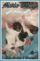 processed/ffd0e59d-5166-4e09-9246-76c9d723c744/listing/94519db4-b99e-4491-8e94-1edfc7836b81/281c3fb6-c48d-4ea3-9d08-5a6141475784